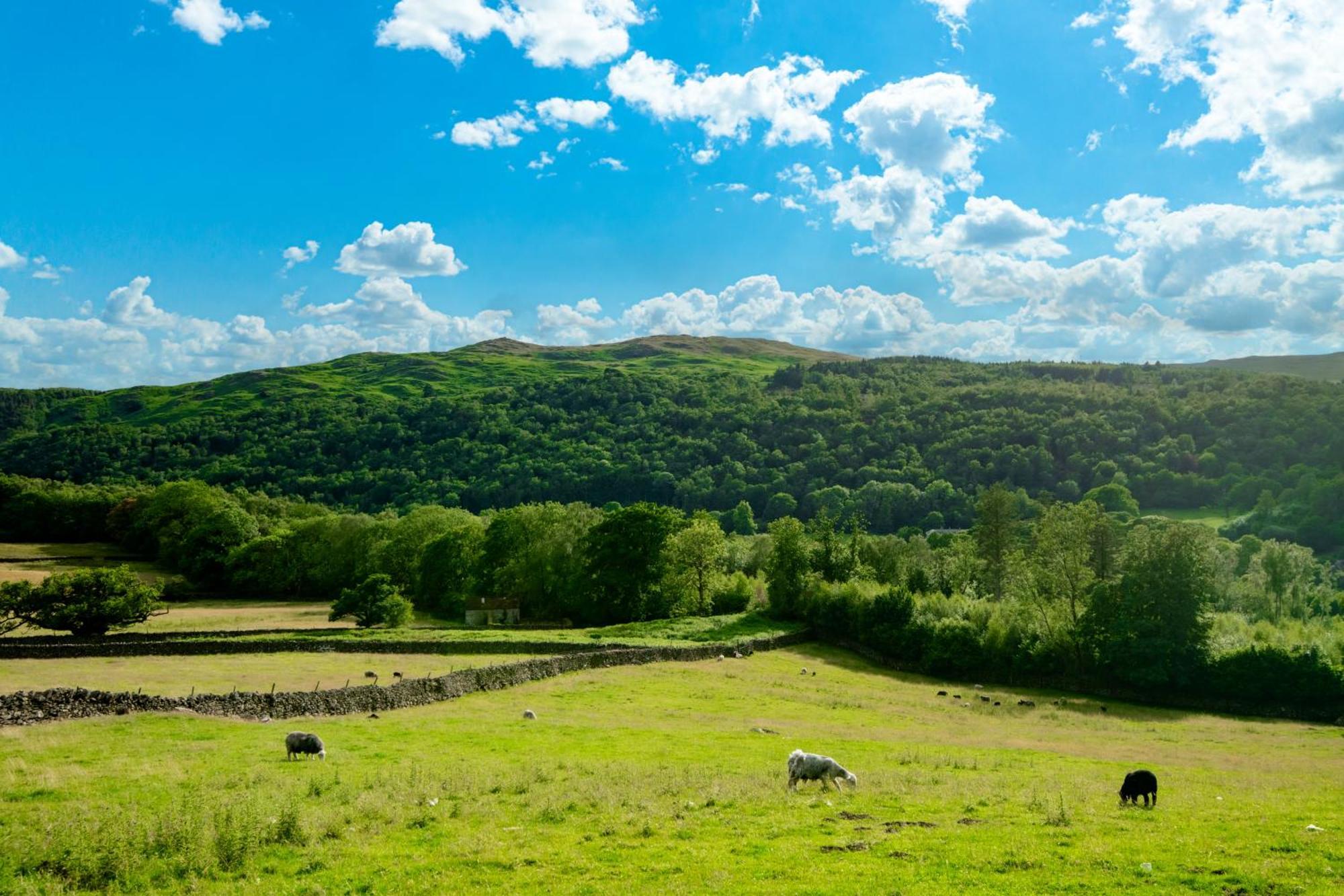Bridge End Farm Cottages Boot Экстерьер фото